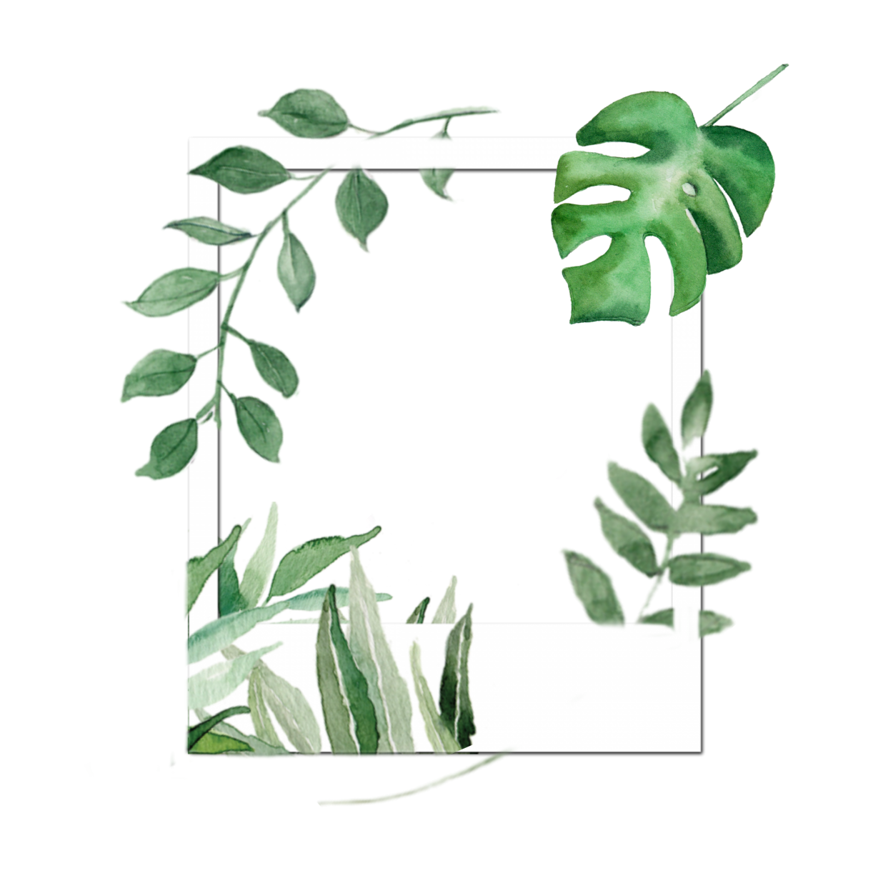 Парноперистые листья