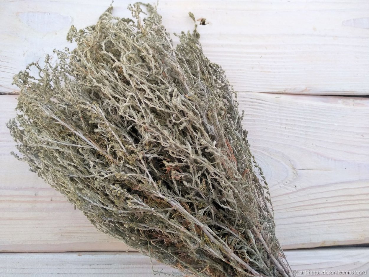 Багульник окуривание помещения