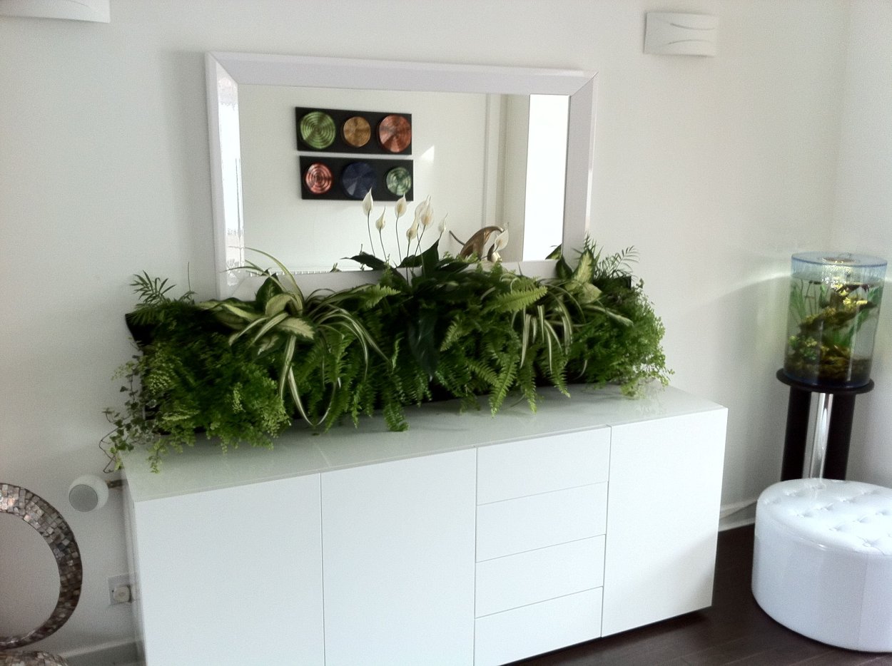 Флорариум эпифитные