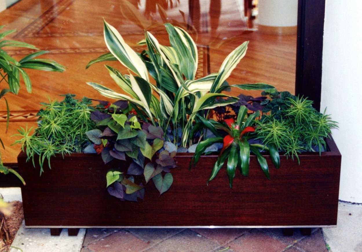 Композиция из горшечных растений в интерьере