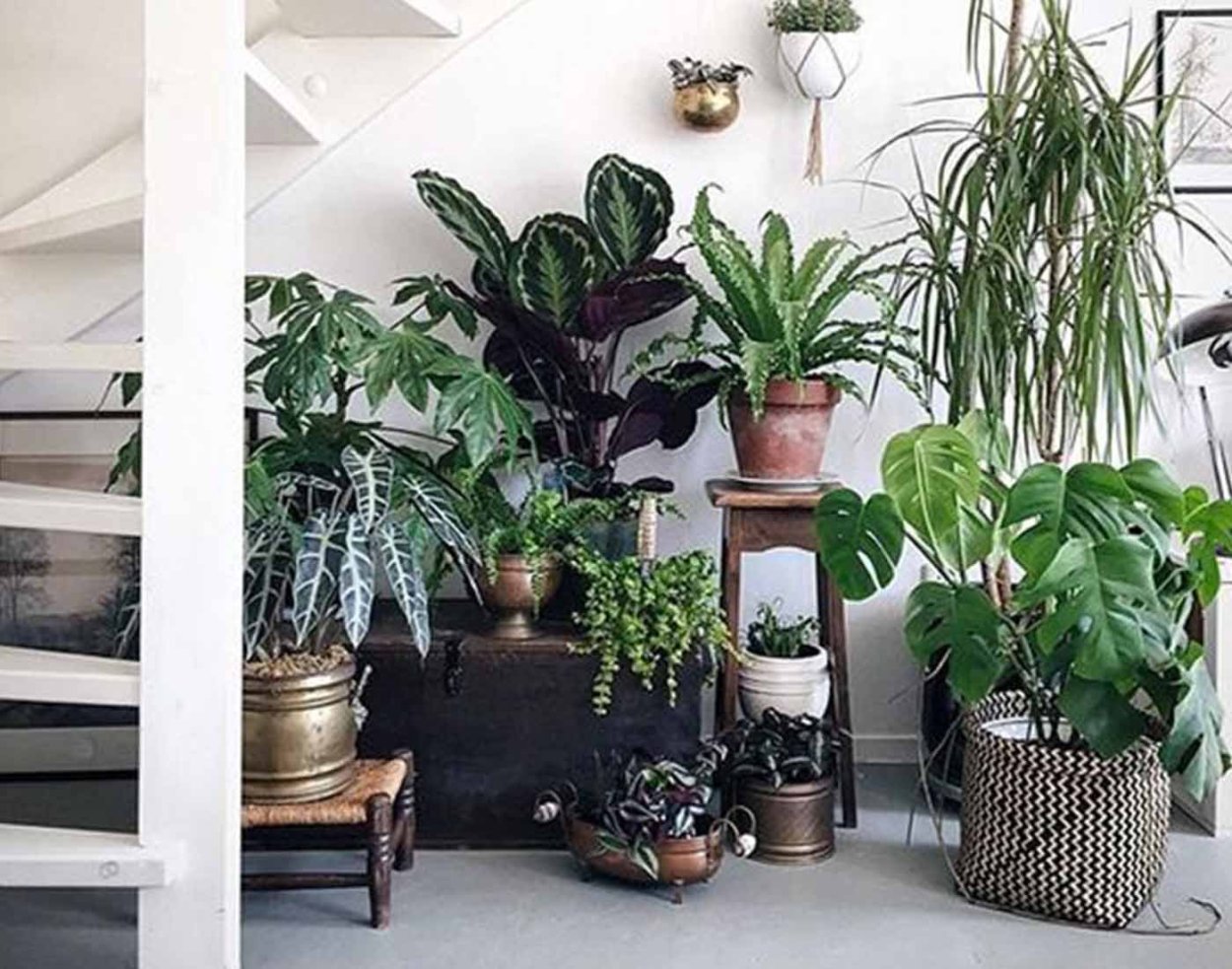 Профессиональная композиция