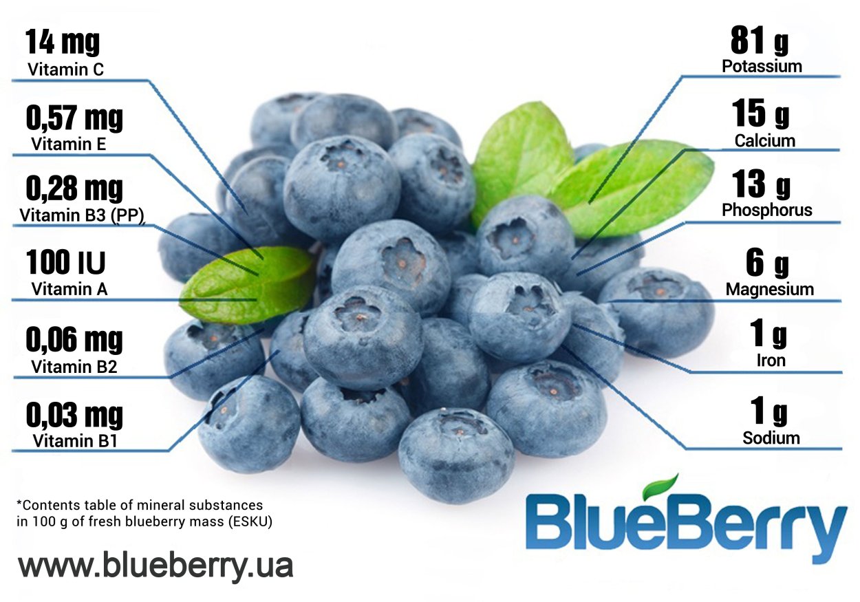 Голубика схема посадки голубики