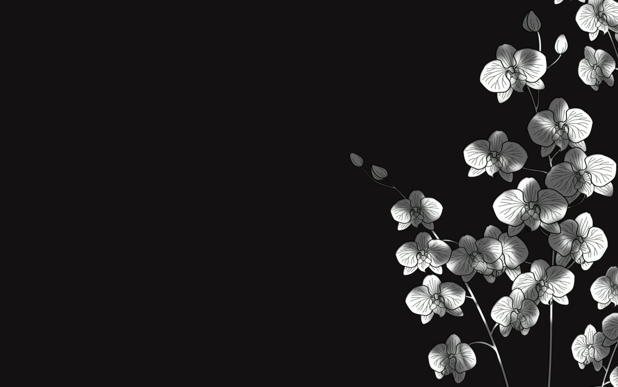 Цветы на черном фоне