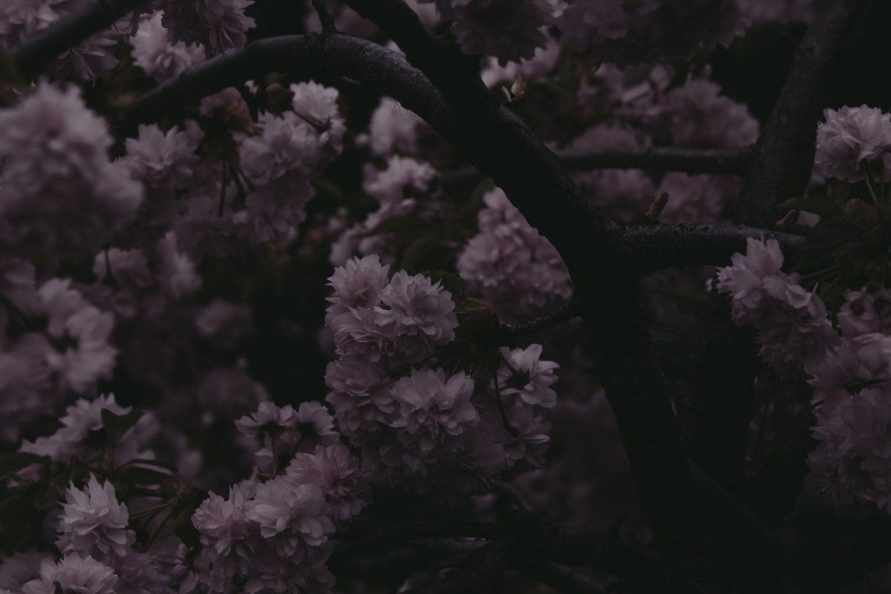 Сохранёнки Эстетика