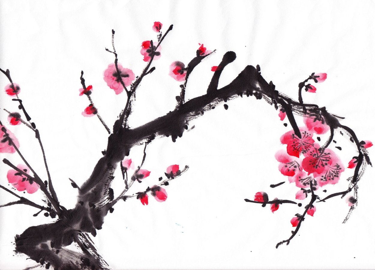 Слива мэйхуа