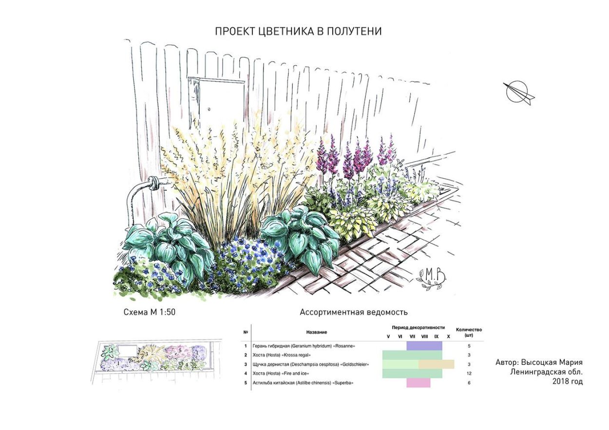 Схема посадки миксбордера из многолетников