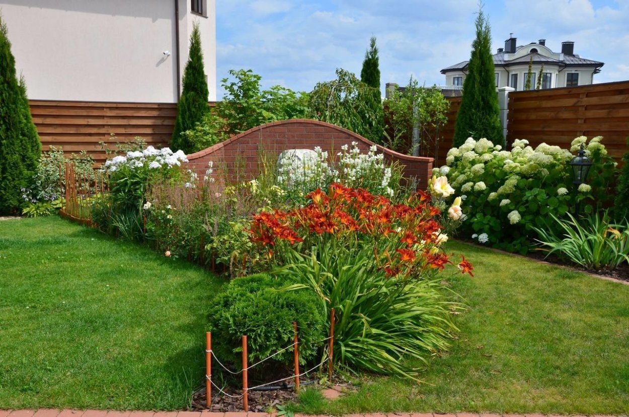 Миксбордер с розами