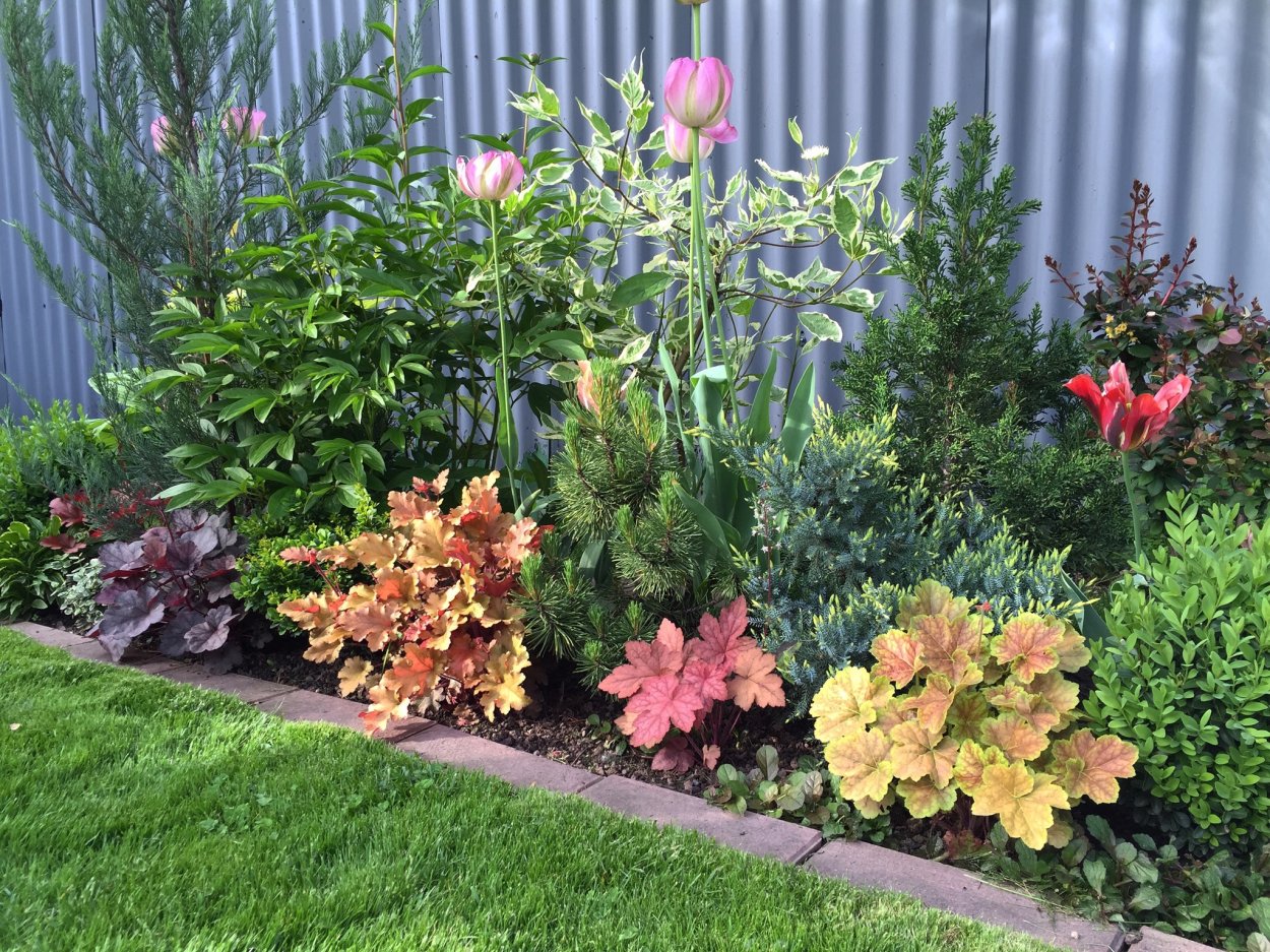 Схема посадки миксбордера из многолетников