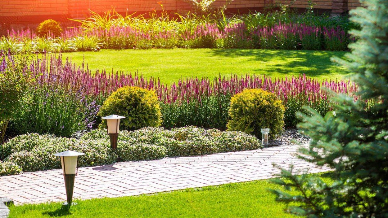 Ландшафт миксбордер