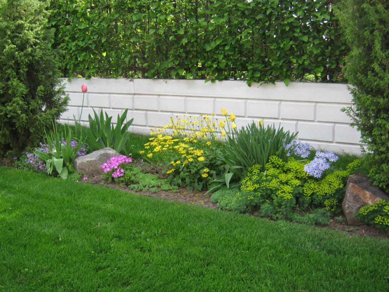 Солнечный миксбордер вдоль забора