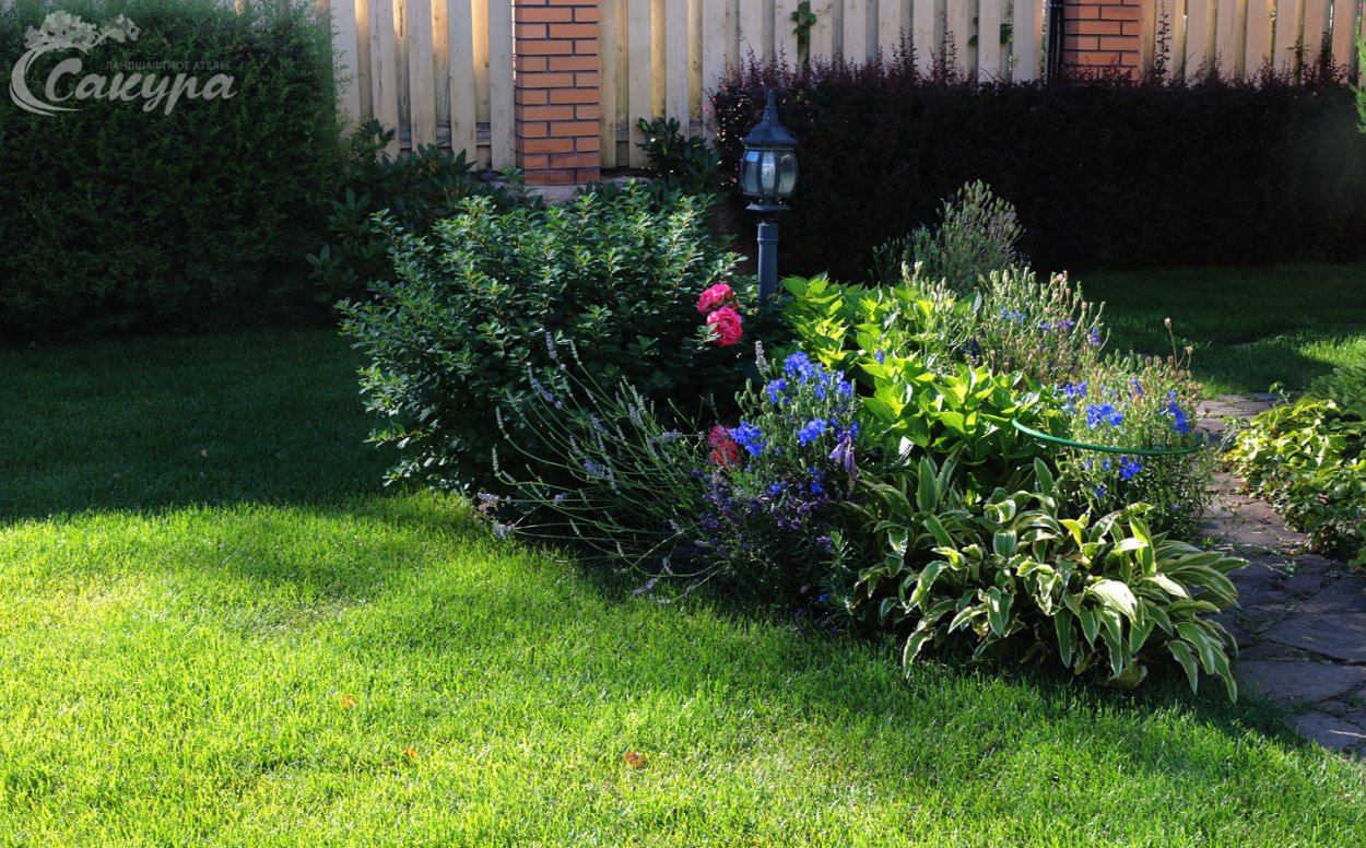 Цветник у забора из многолетников