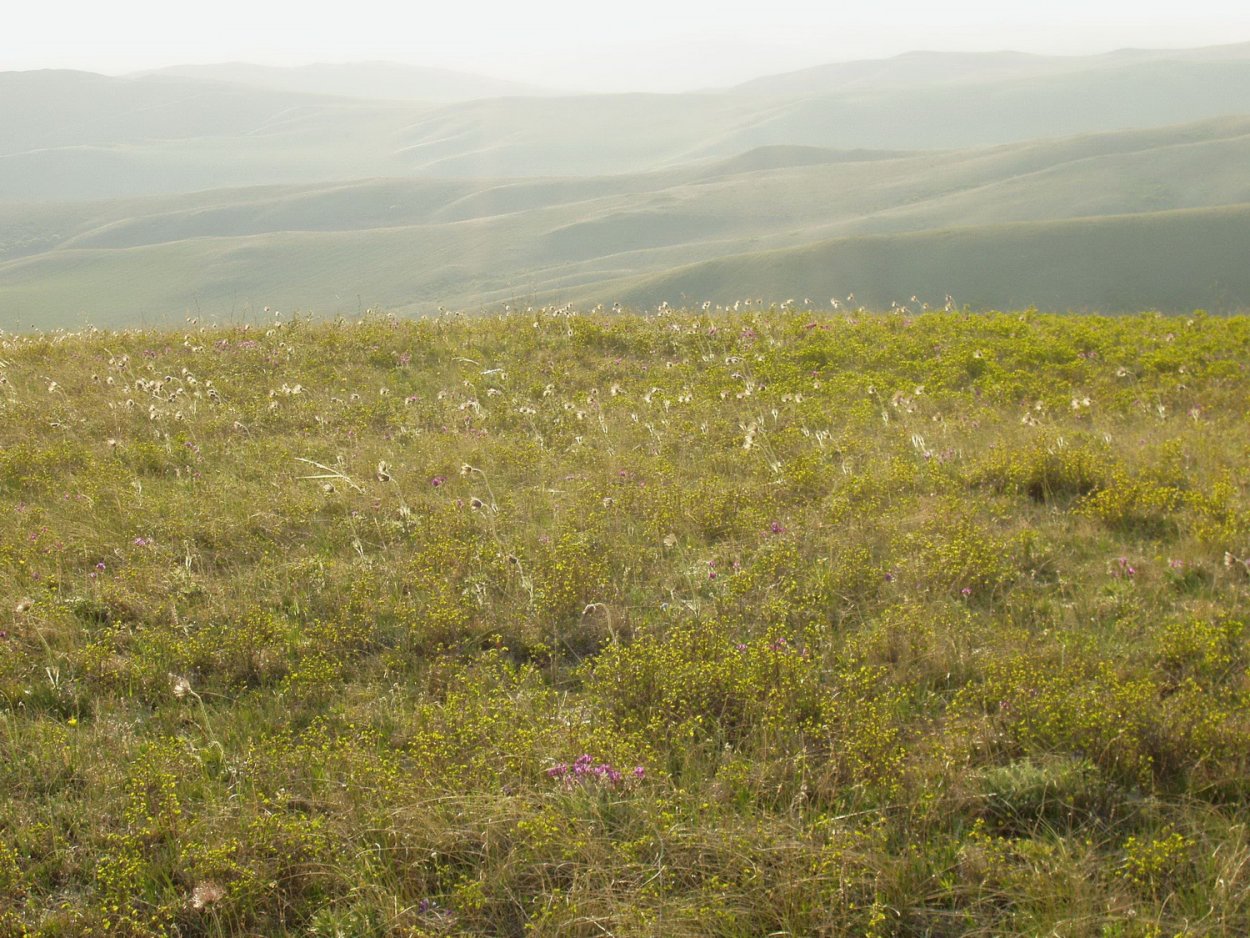 Кустарниковая степь Бештау