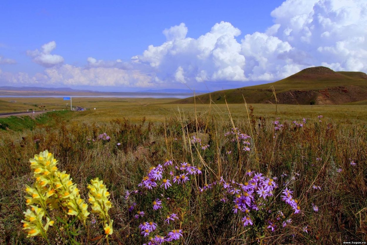 Хакасская степь