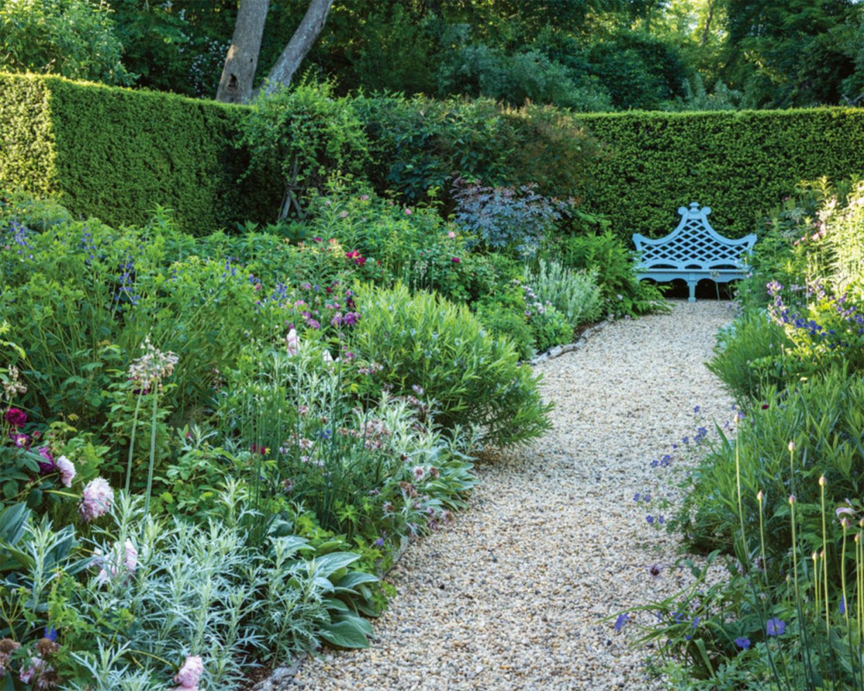 Кусты вдоль дорожек