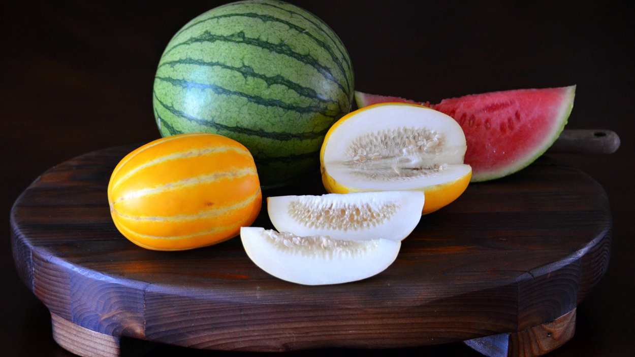 Арбузы и дыни на бахче