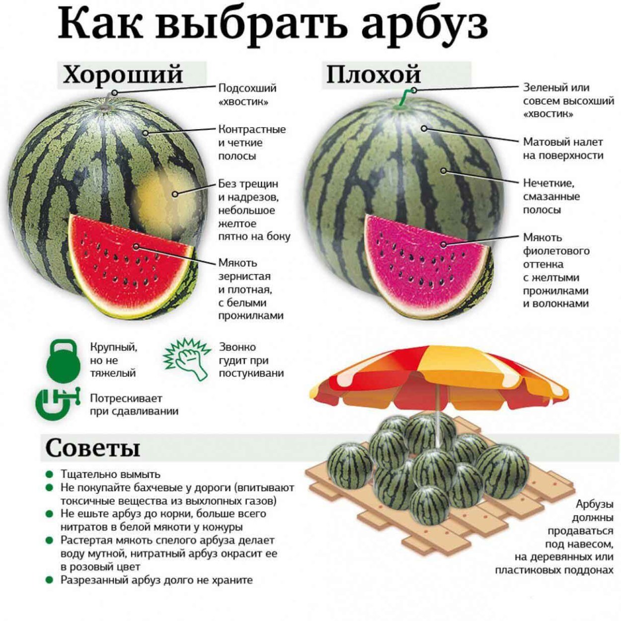 Бахча арбузов