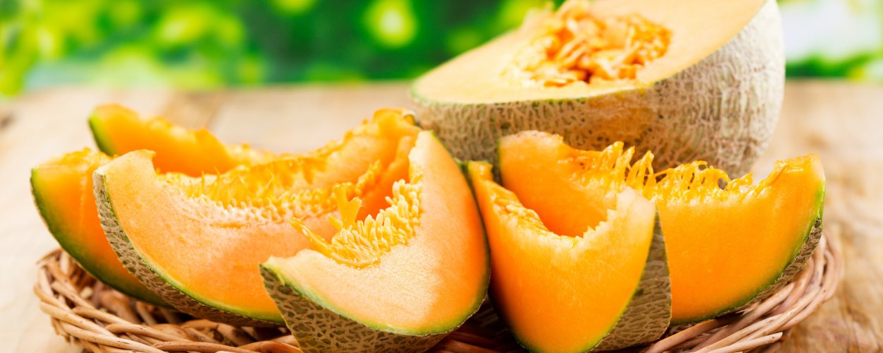 Август Арбуз дыня