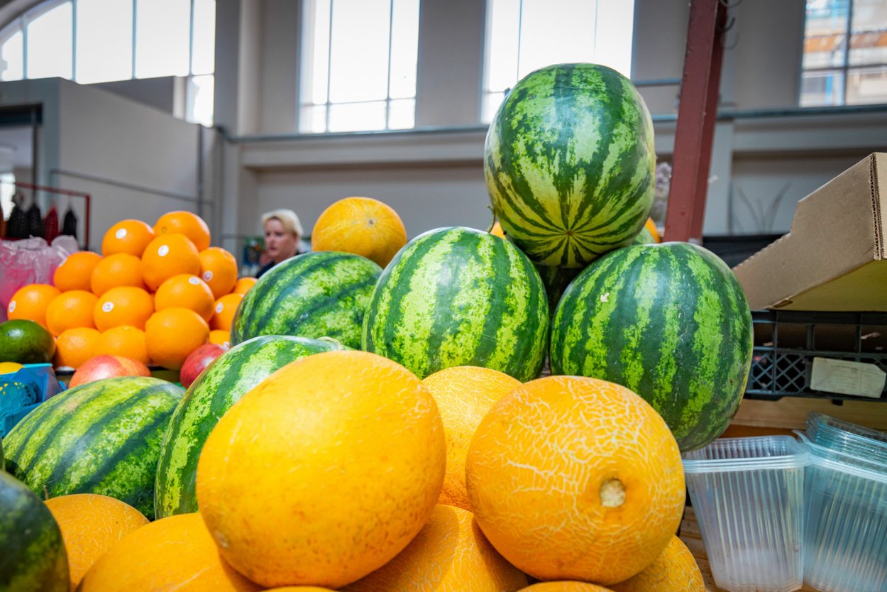 Плантации арбузов