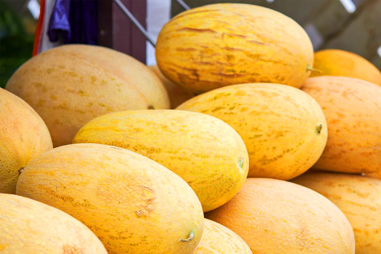 Арбуз прикол