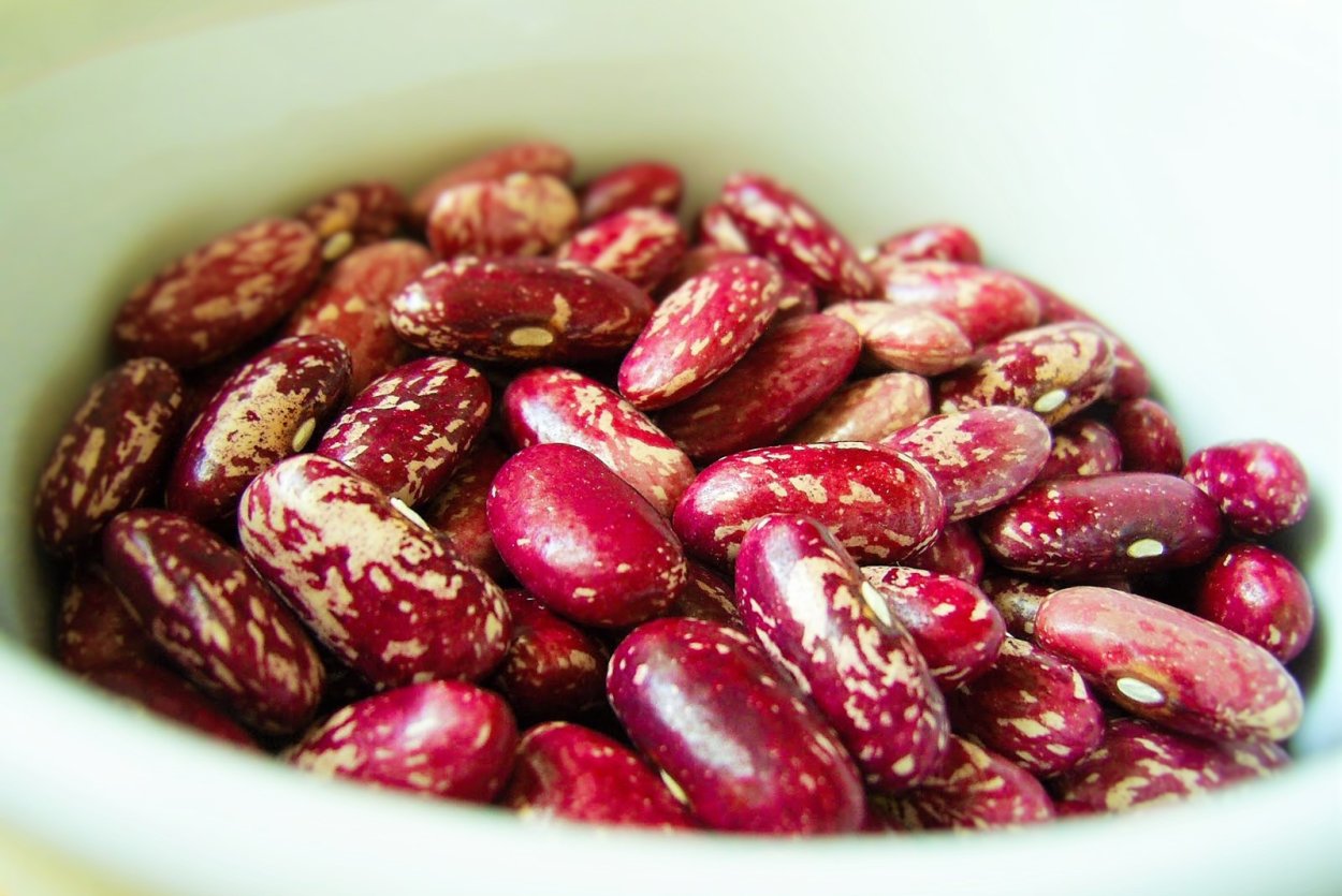 Фасоль красная Пинто