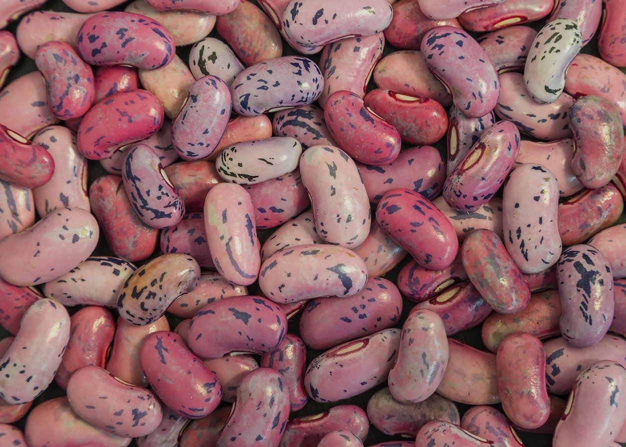 Семена фасоли