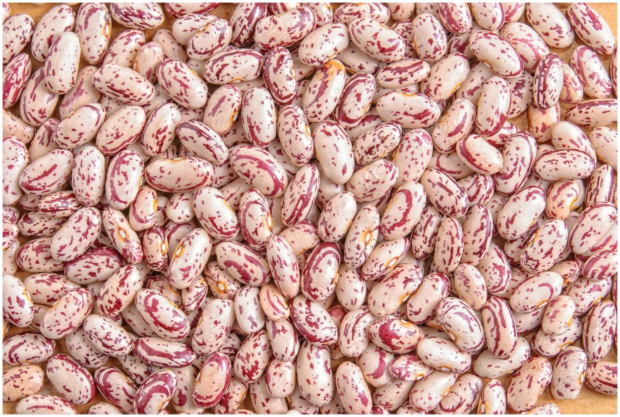 Сорта Рябой фасоли