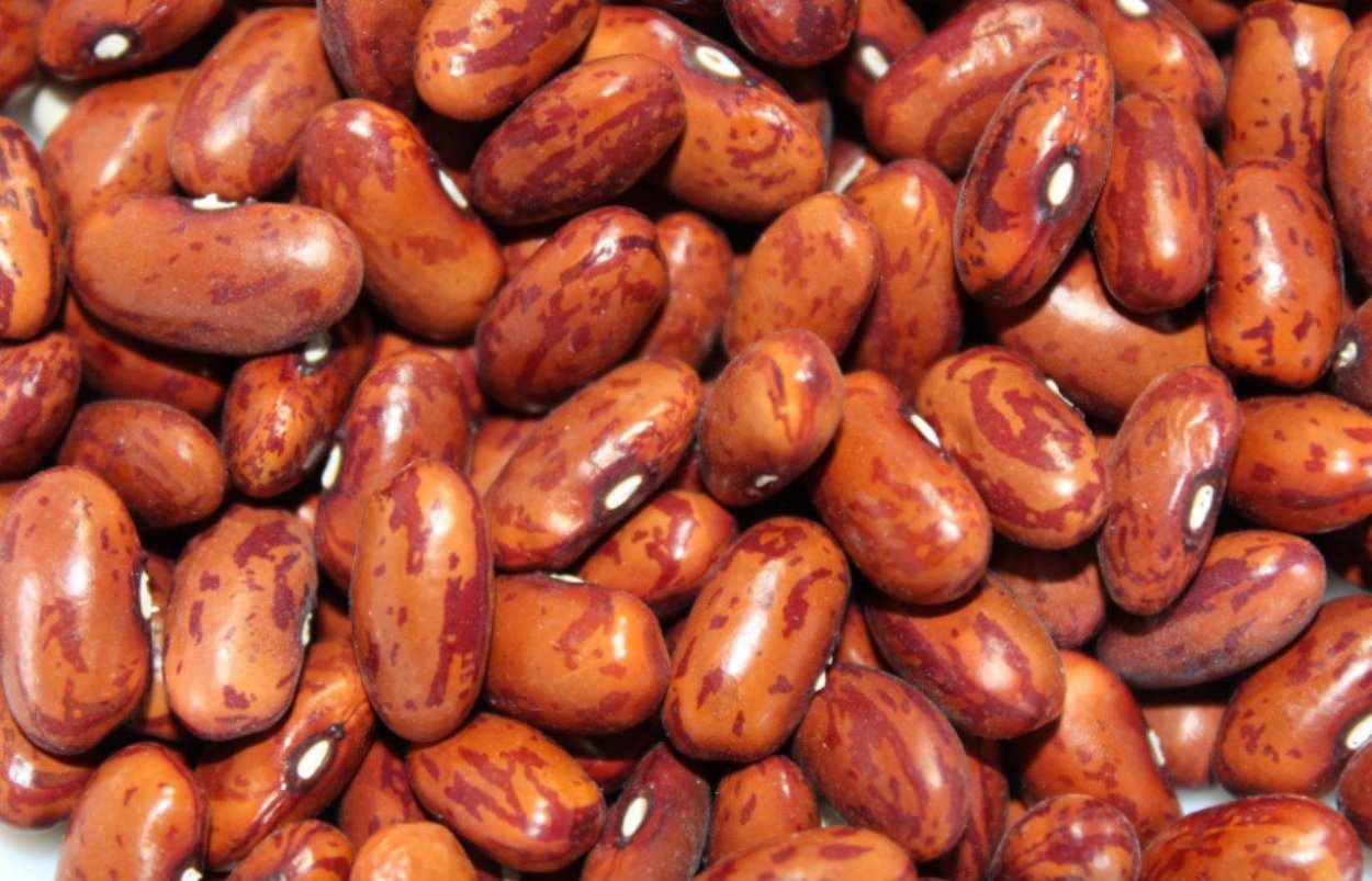 Македонская фасоль