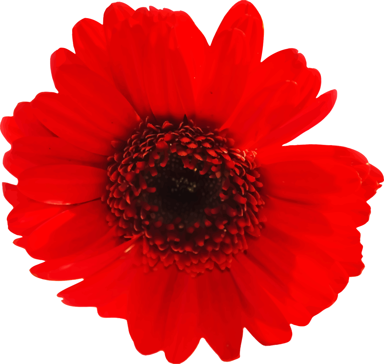 Цветочек красного цвета