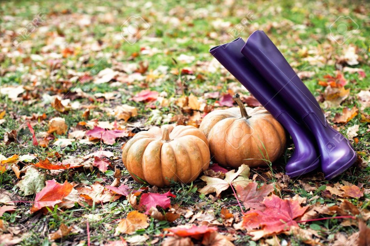 Дача. Осень