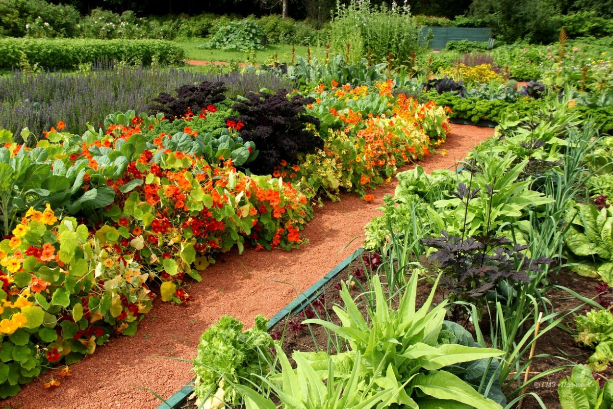 Сад Боде в Павловске