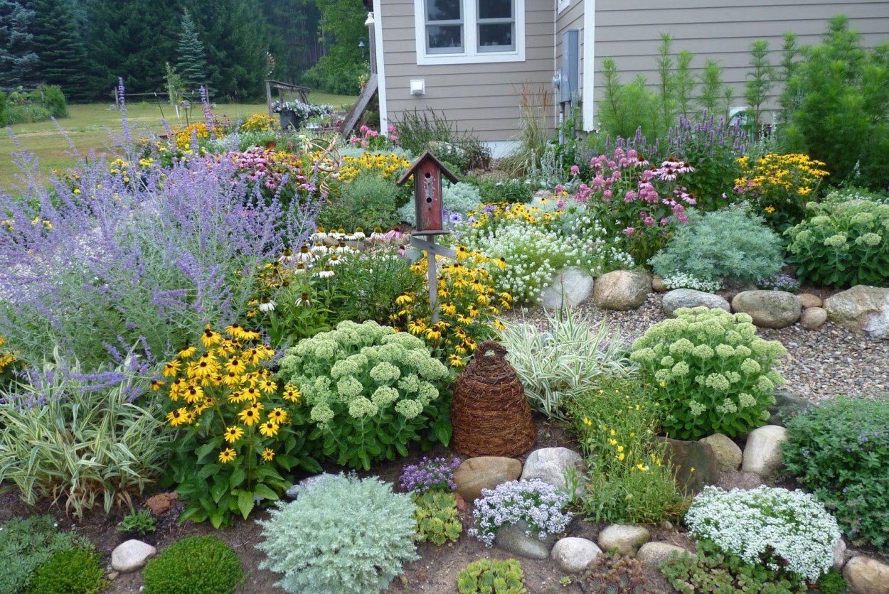 Овощной миксбордер