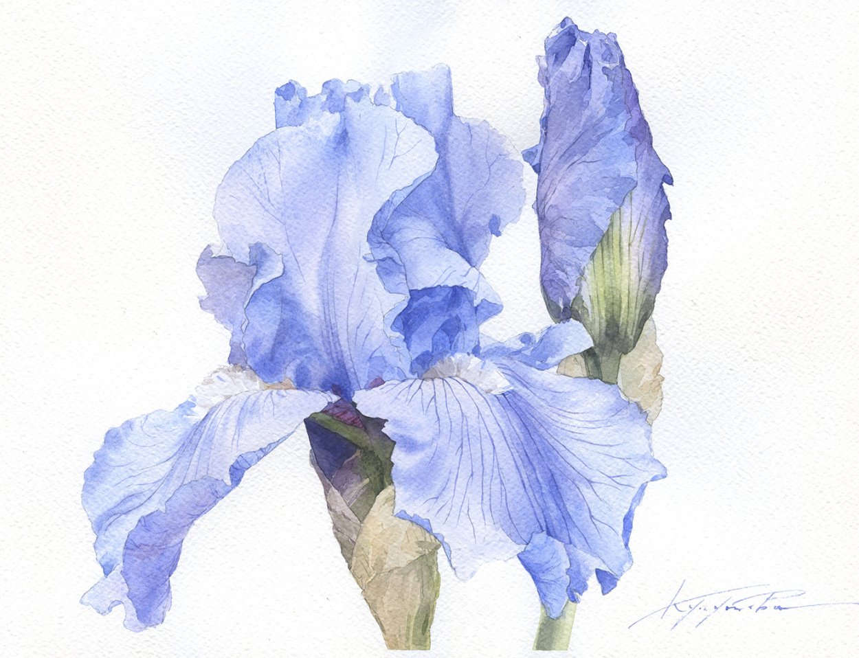 Акварель Полины Кукулиевой