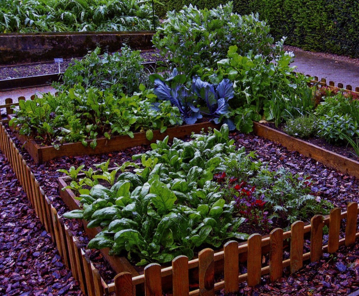 Грядки-клумбы мавританский дворик