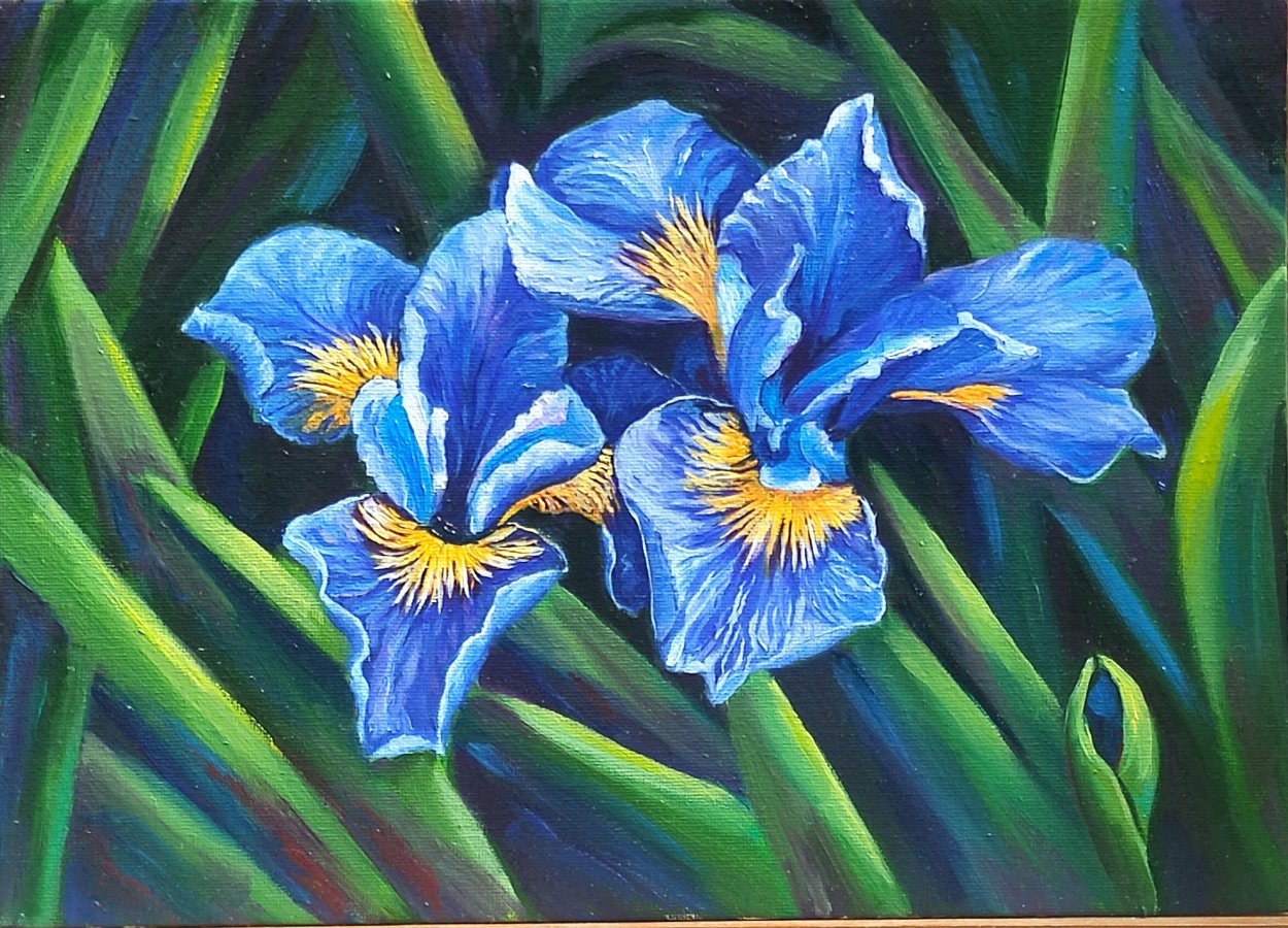 Закревская Алла ирисы