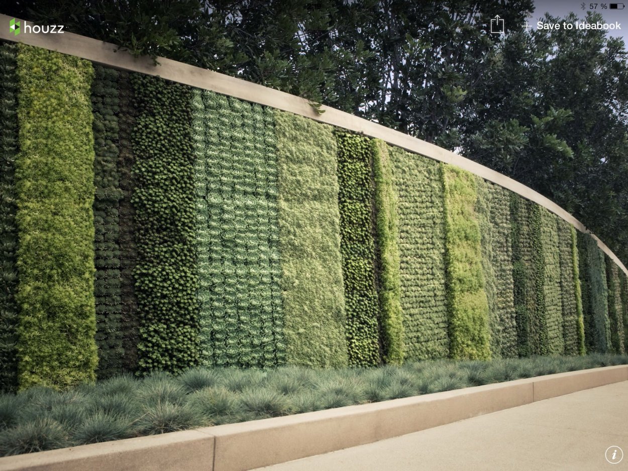 Беньес Живая изгородь