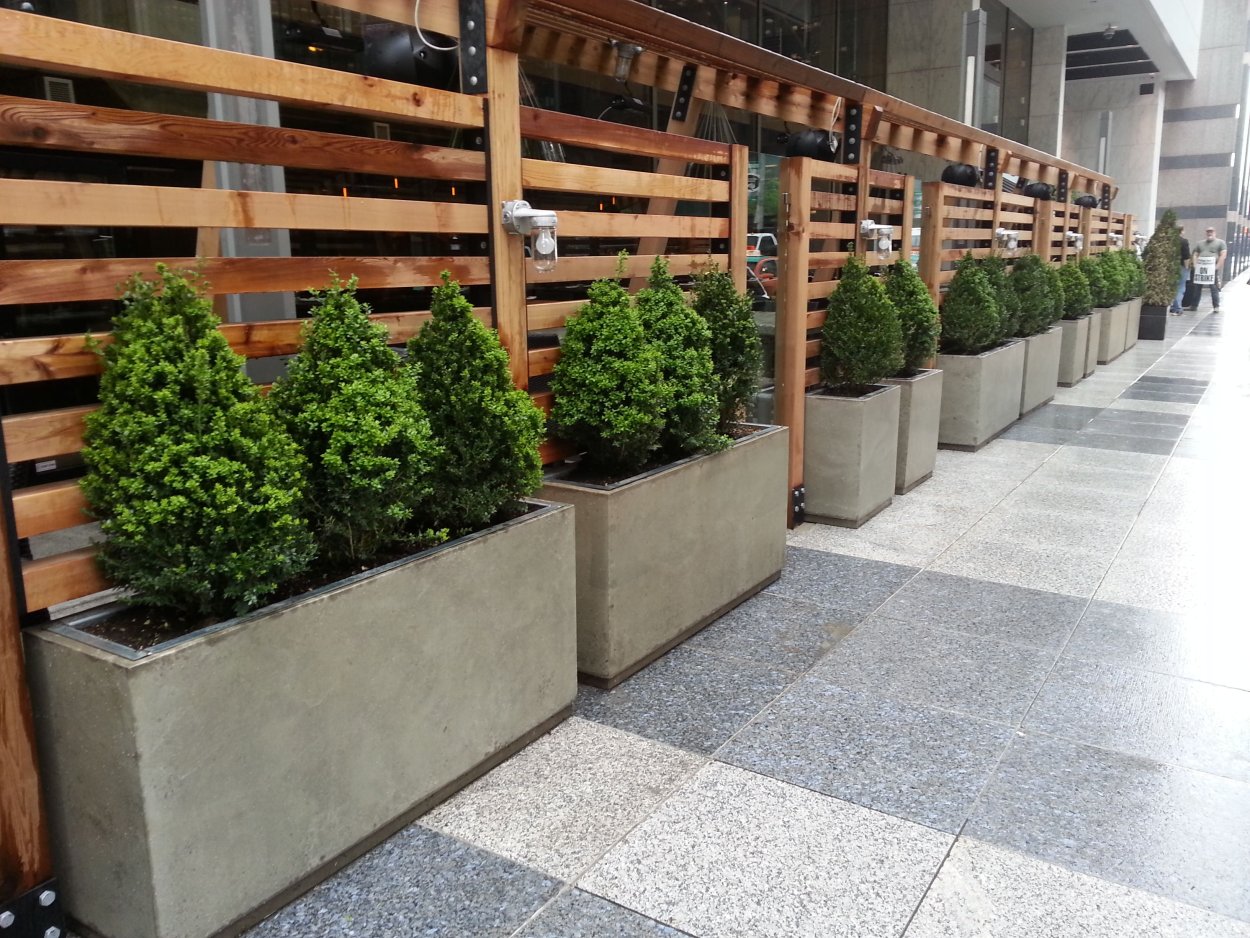 Контейнерное Озеленение патио