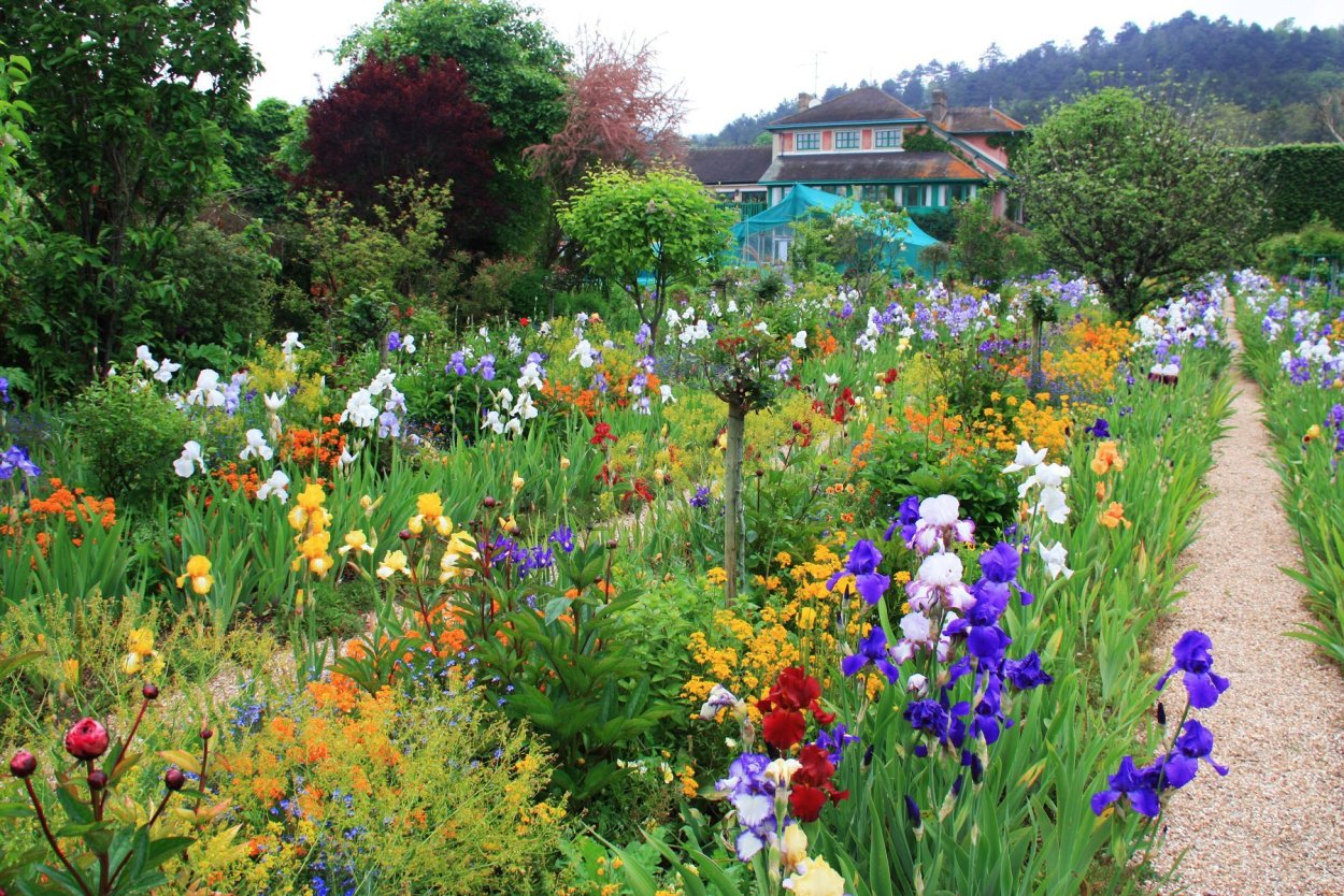 Сад ирисов в Живерни