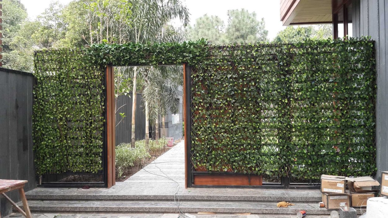 Вертикальное Озеленение забора