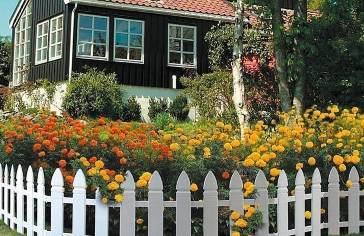 Сибирский палисадник