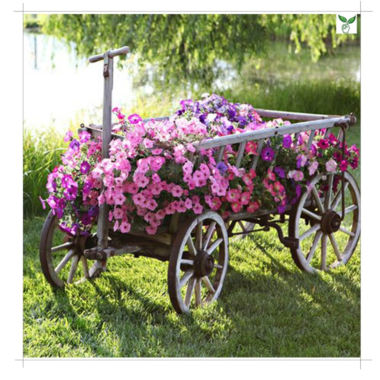Тележка с цветами в саду