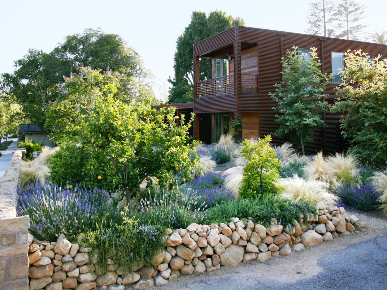 Засухоустойчивый сад в ландшафтном дизайне