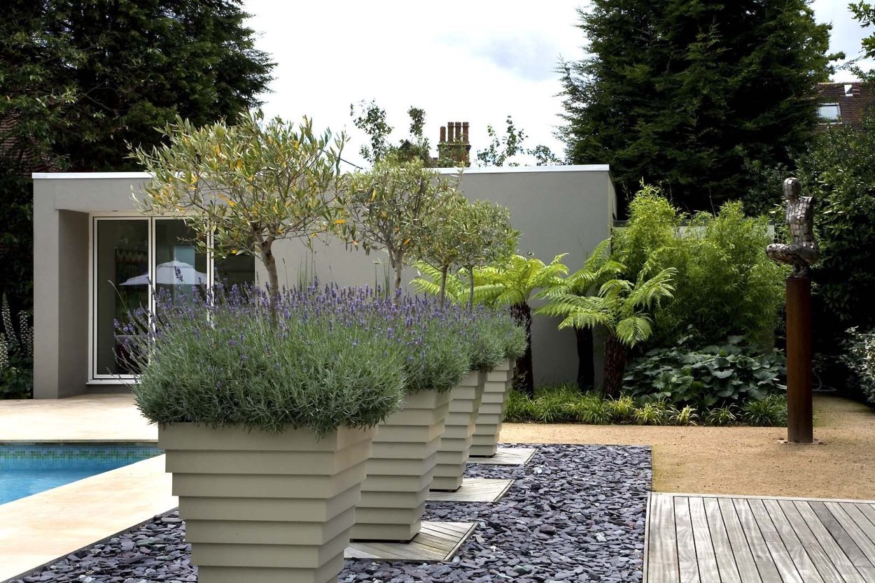 Гравийный сад Энтони пола