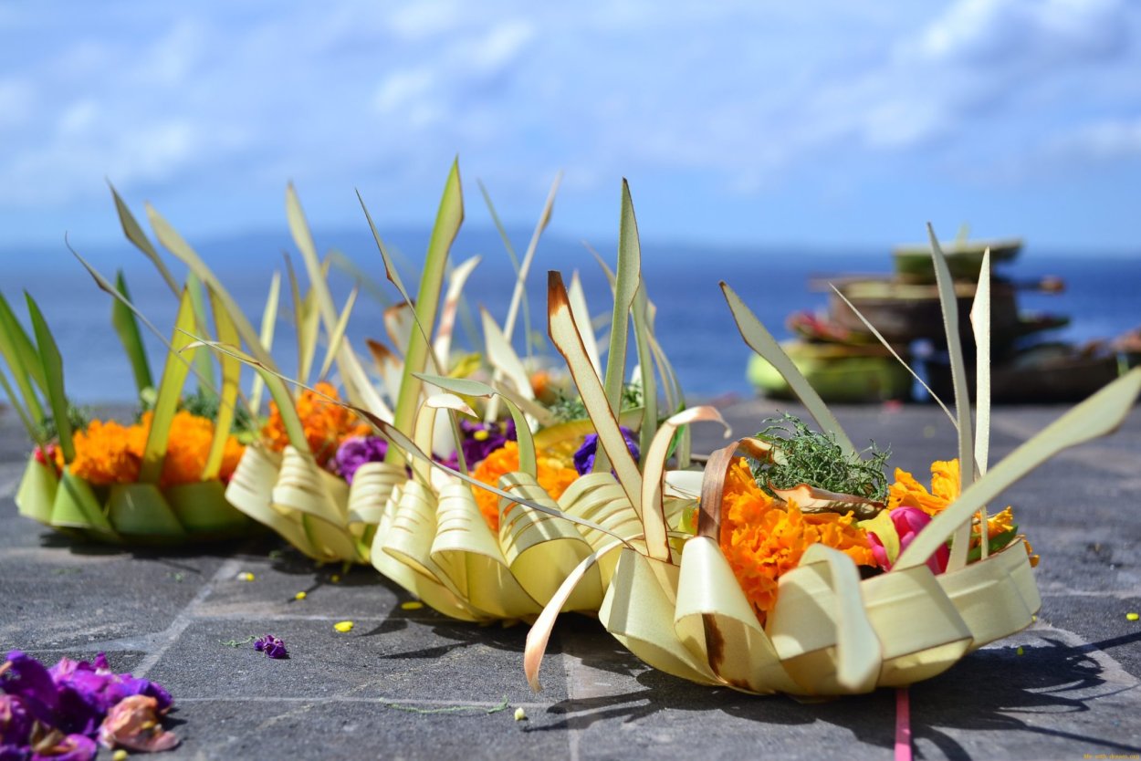 Индонезия ступенчатые поля