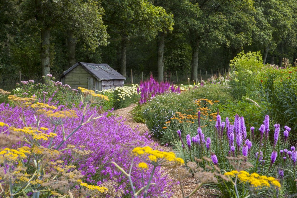 Стиль натургарден в ландшафтном