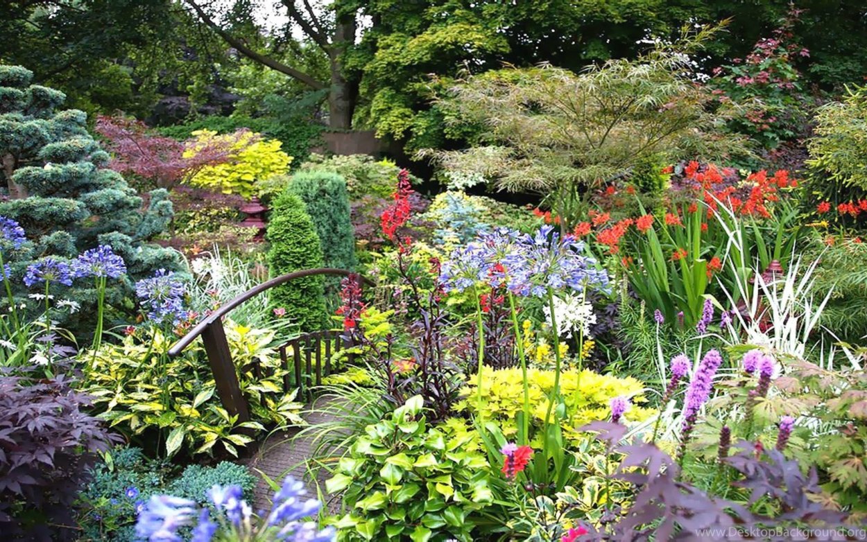 Миксбордеры натур Гарден