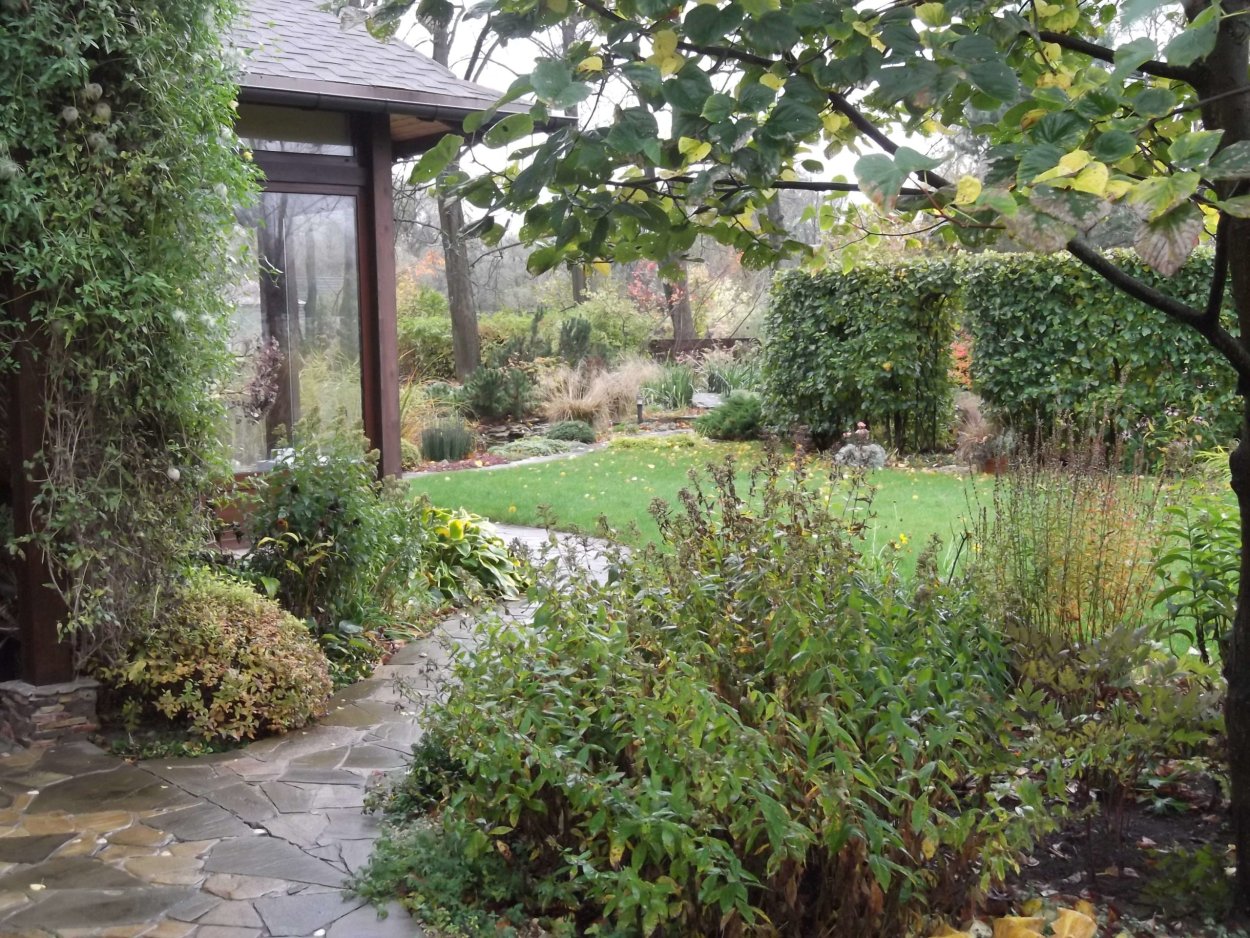 Елена Седова ландшафтный дизайнер