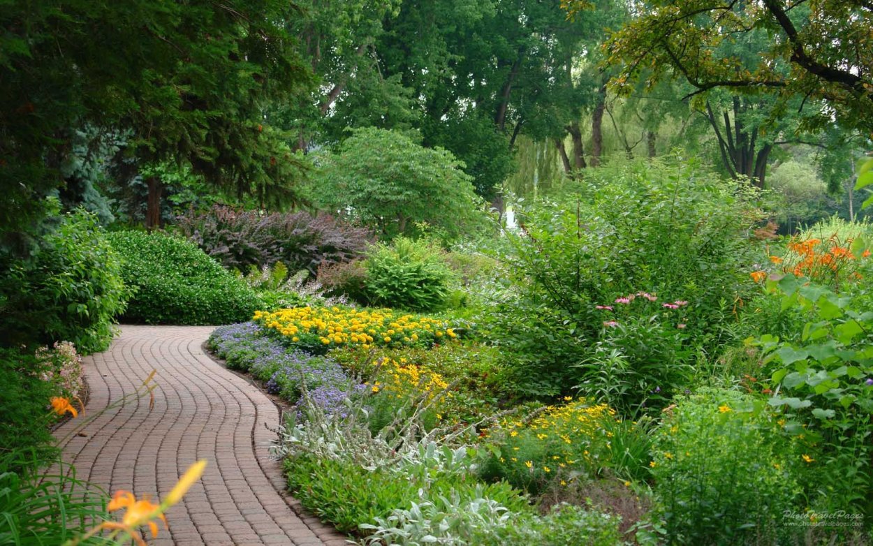 Природный сад