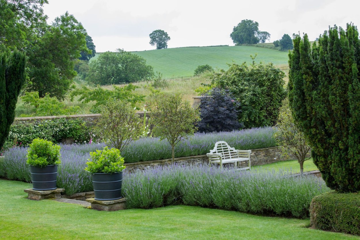 Роял Гарденс ландшафт