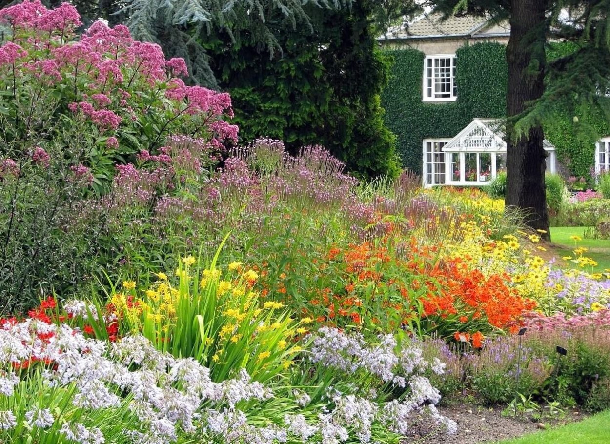 Сады Англии миксбордеры