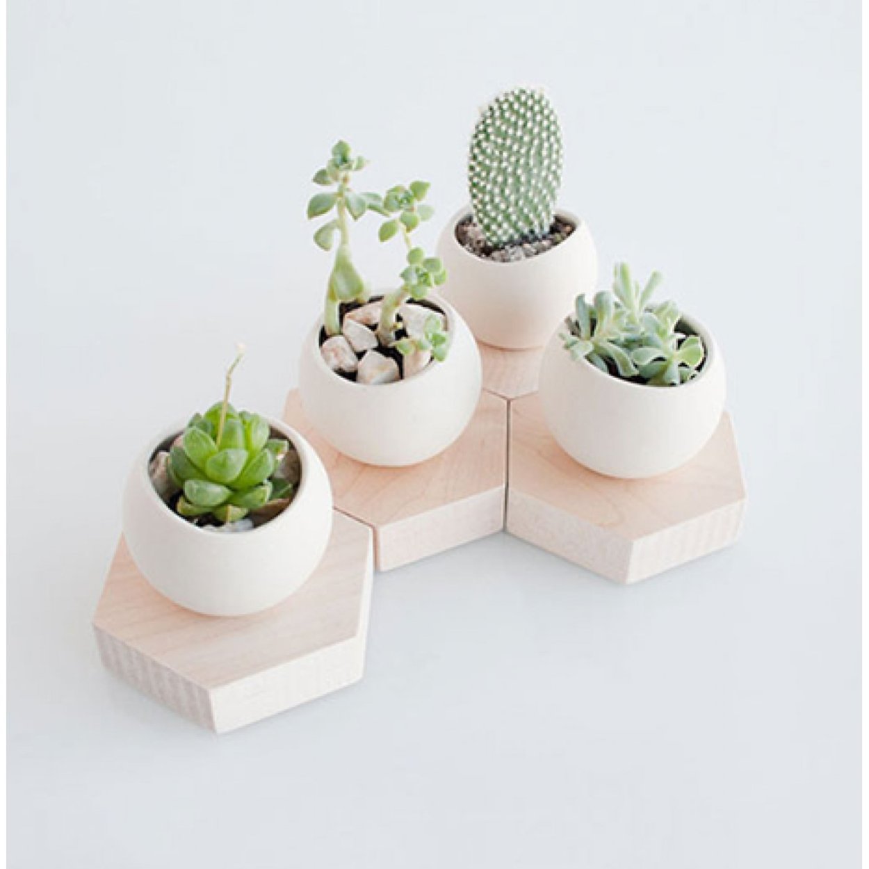 Горшок для суккулентов